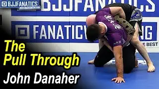 The Pull Through by John Danaher