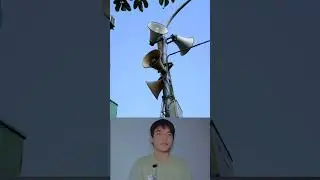 Siren Head, Skeleton, Slenderman - Fake or Real 😂 