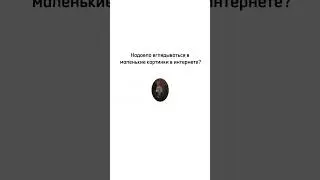 Вот как надо рекламировать искусство! 