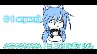 Untitled video