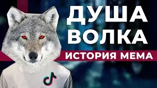 ЦИТАТЫ ВОЛКА | ДУША ВОЛКА | История мема