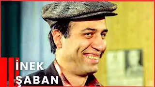 İnek Şaban | Kemal Sunal Komedi Filmi İzle