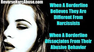 Why Borderlines Think They Are Different From Narcissists - And Why That Is Incorrect #narcissist