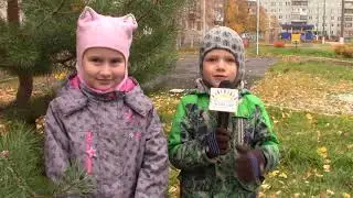 Сиверко ТВ (выпуск сентябрь 2022-23)