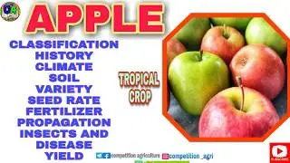 APPLE FRUIT CLASSIFICATION सेब का वैज्ञानिक वर्गीकरण COMPETITION AGRICULTURE