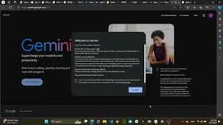 How to use Google Gemini?
