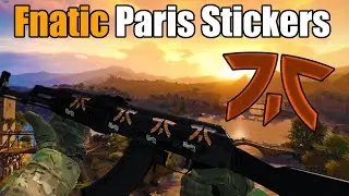 CSGO - Fnatic Paris Stickers Showcase | AK-Slate