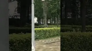 В Южно-Сахалинске женщина справила нужду в сквере на глазах у прохожих
