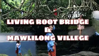 LIVING ROOT BRIDGE/MAWLILONG VILLEGE/MEGHALAYA/SKIN TREATMENT/NUTRIOG ROSE WATER