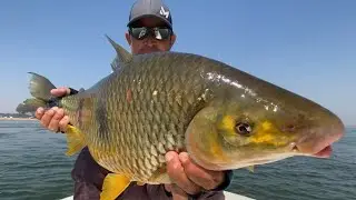Fishing Secrets Lesson - The best bait for piaparas and omnivorous fish