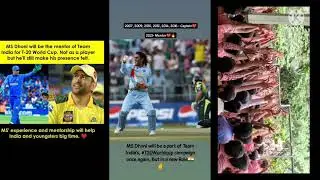 Msd indian team mentor whatsapp status 🔥🔥🔥 #dhonimentor
