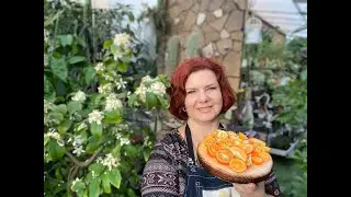 Кумкваты - неизвестный многим плод. Как микроцитрусы и прочие экзоты....