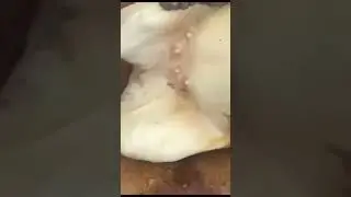 اللهم انها منك وإليك … اللهم ارحمهم جميعا وتقبل يارب
