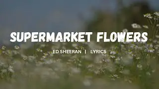 Supermarket Flowers - Ed Sheeran | Lyrics
