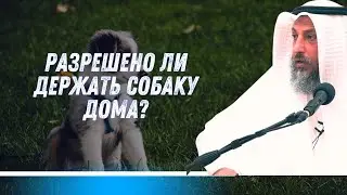 Можно ли держать дома собаку?