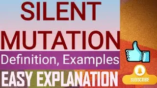 Silent Mutation, Point Mutation , Definition, Example