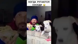 Когда ругаются соседи ￼