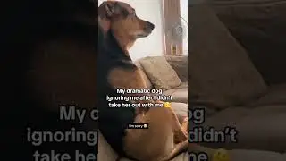 😂😂 #funny #funnyshorts #funnyvideos #compilation #compilationsfunny #viral #viralshorts