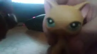 Лпс клип: ты убил меня сам дурак
