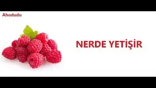Ahududu/Frambuaz Faydaları ve Zararları