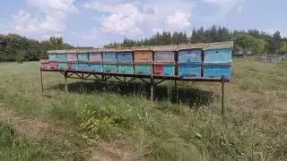 Обзор на прицеп для пчёл. Всё честно. Ваше мнение?
