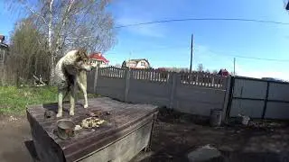 /Как в деревни можно вскрыть бочку без болгарки подручными средствами