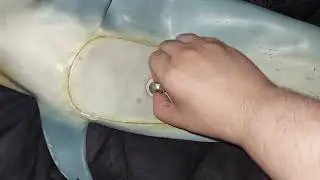 Old inflatable rubber dolphin deflate