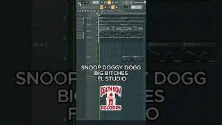 Snoop Doggy Dogg - Big Bitches FL Studio Remake  