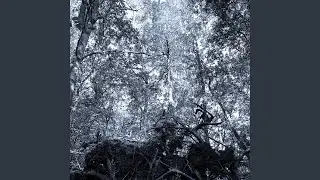 Outro