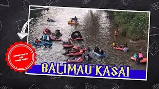 BALIMAU KASAI