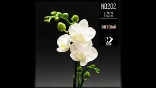 Dj Artak & Natune - Согревай (Original Mix)