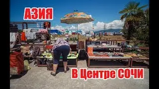 Азия в центре СОЧИ у Моремол
