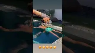 Dog Lovers