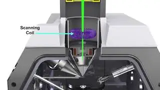 The MagLab’s Scanning Electron Microscope