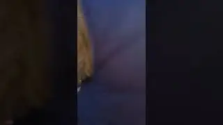 Холодильник взорвался