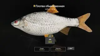р Белая | русская рыбалка 4