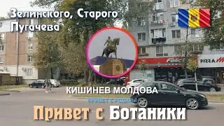 Молдова, Кишинев, Ботаника, улица Зелинского, Старого, Пугачева, летняя стрижка автора.