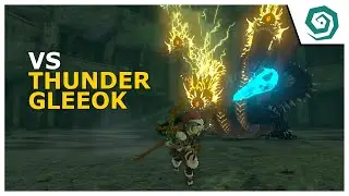 Zelda Tears of The Kingdom - VS Thunder Gleeok