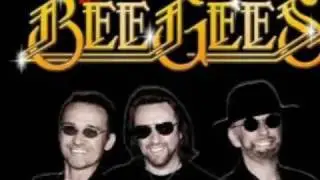 Bee Gees-Don't Fall In Love With Me (Tradução)