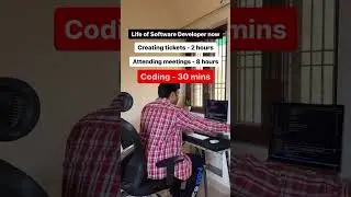 Life of software engineer 
