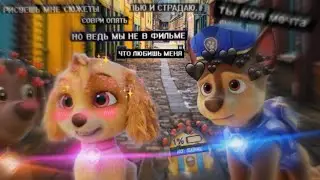 заказ Гонщик и Скай~я люблю тебя