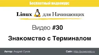 Видео #30. Терминал Линукс