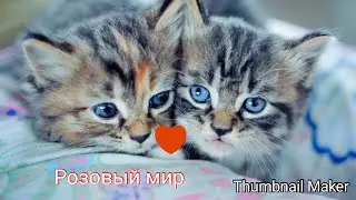 Сериал Розовый мир у сезон 3 серия