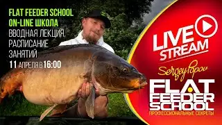 FLAT FEEDER SCHOOL - Peace Lesson / Class Schedule / #1 Lecture
