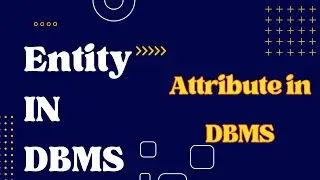 Entity in DBMS | Attribute in DBMS | Different types of Attributes in database management system