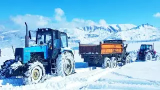 Сравнение Белорусский МТЗ-1221 против Российский ЛТЗ-60 и грузовик Урал | тест драйв 2020