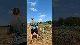 Ждёт, когда хозяин  тюк распакует) #деревня #cow #животные #белгородскаяобласть #быки  #природа