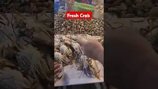 Fresh Crab still alive #shorts #livecrab #fresh #seafoods #seafoodlover
