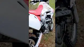 The Best Trail Bike Ever Made??? 