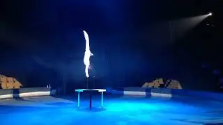 эквилибр 429
